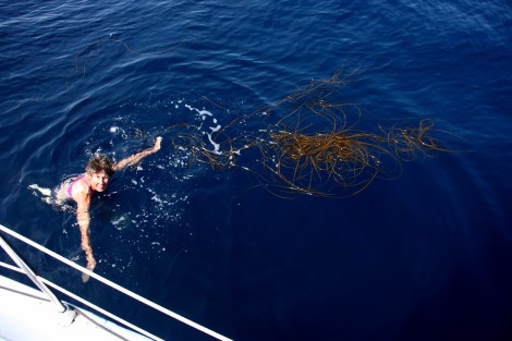 Flaute: Marlies entfernt Seegras, das sich am Kiel verfangen hat