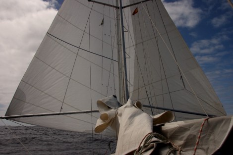 unter Passastsegeln mit der neuen und der alten Genua und zwei Spi-Bäumen