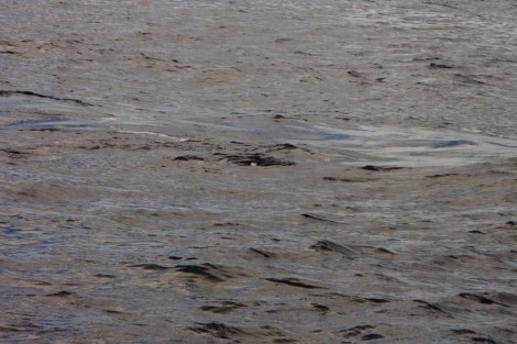 dann ist nur noch der Strudel zu sehen