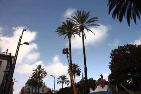 auch hier wird Weihnachtsbeleuchtung montiert