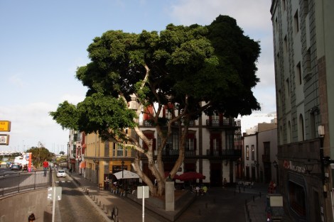 Bernd Daniel Jens 006