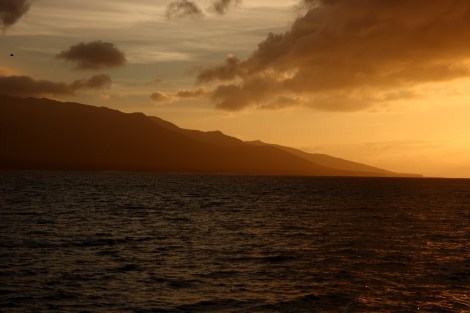 Bernd Daniel Jens 039