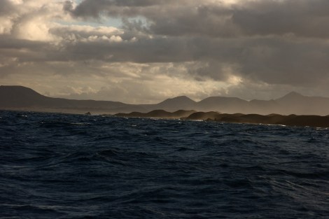 Bernd Daniel Jens 101