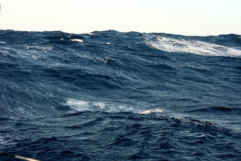 Die See bewegt uns, um nicht zu sagen schüttelt uns...