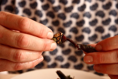 Wie macht man sie auf? Erst drehen, dann ziehen