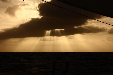 Thomas packt die Geburtstagsgeschenke aus, die Freunde mitgegeben haben