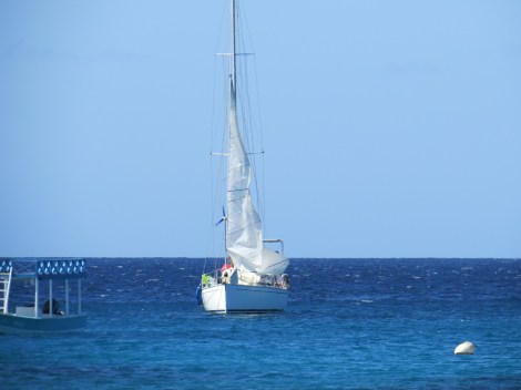 Die Anke-Sophie setzt Segel