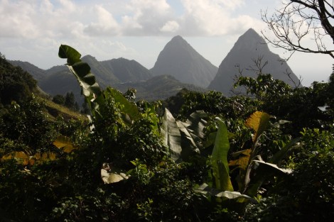 St. Lucia 040