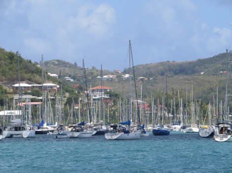 In Le Marin liegen uns zu viele Boote zu eng bei einander