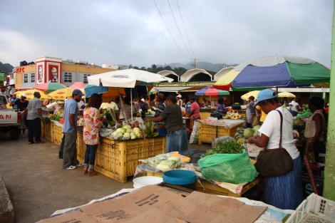 Martinique Dominica 119