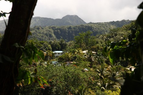 Martinique Dominica 132