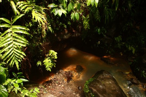 Wir baden in heißen Quellen