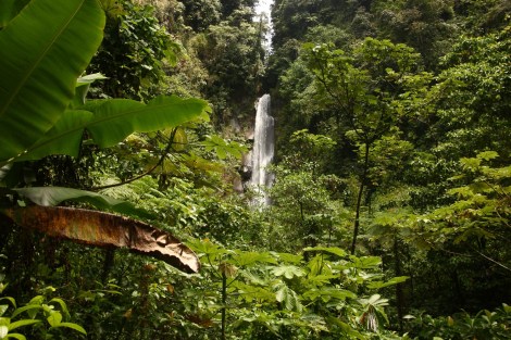 Martinique Dominica 162