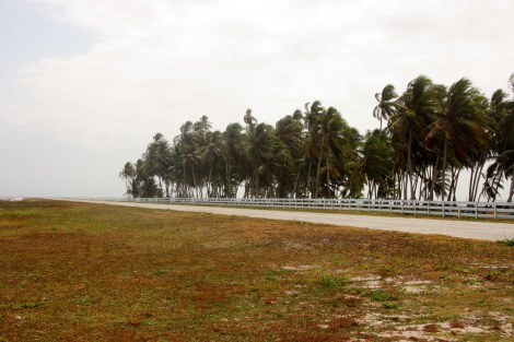 Die Landebahn zwischen Palmen, 025 sm lang