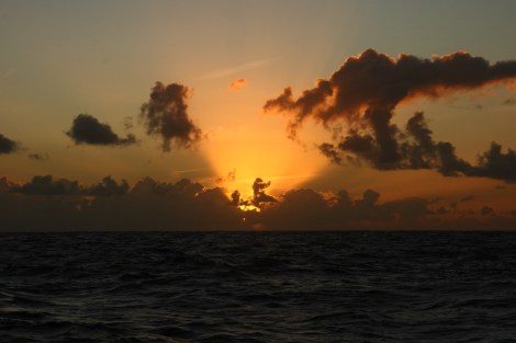 Überfahrt Marquesas 028