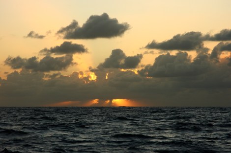 Überfahrt Marquesas 073