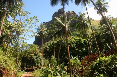 Überfahrt Marquesas 166