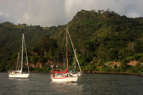 Die Deamon mit Jill und Bruce aus Neuseeland