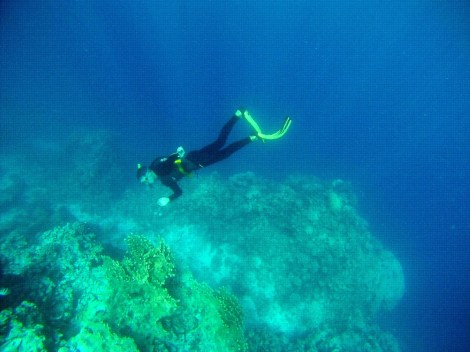 Thomas ist mit Bruce beim Schnorcheln