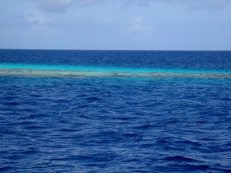 Wir passieren einen Korallenstock in der Lagune