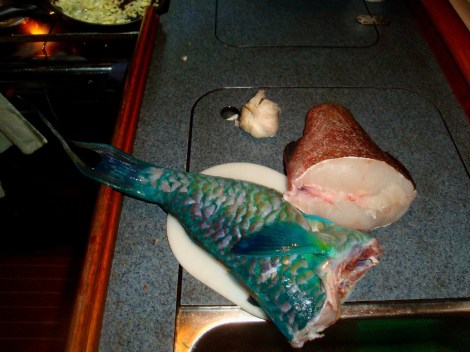 Zubereitung des Fischessens auf der Anke-Sophie