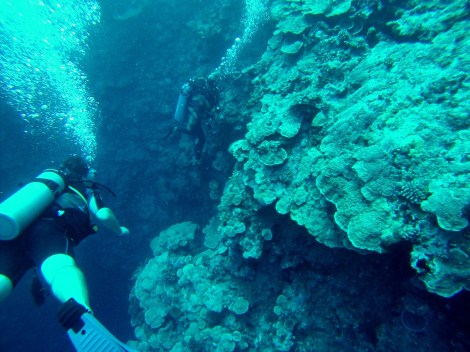 Beim Tauchen am Außenriff