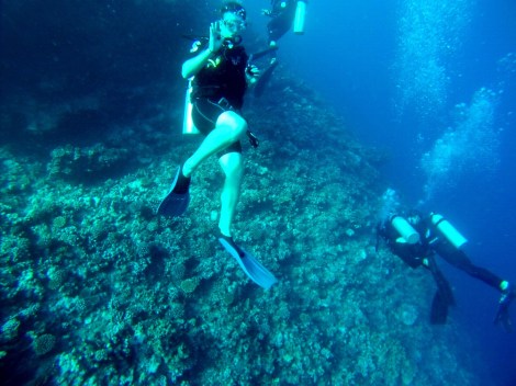 Mein Boddy signalisiert "alles ok"