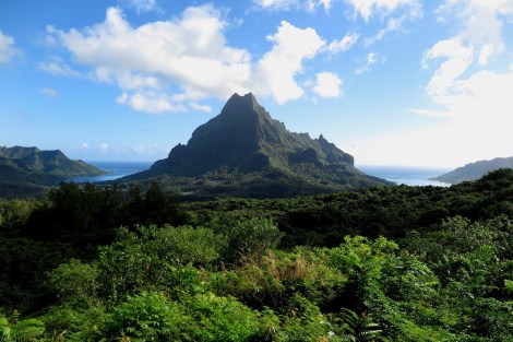 Eine Wanderung führt uns zum Belvedere. Wir sehen die Cooks und Opunohu Bucht