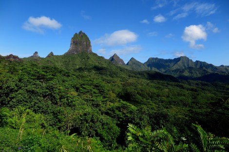Moorea 105