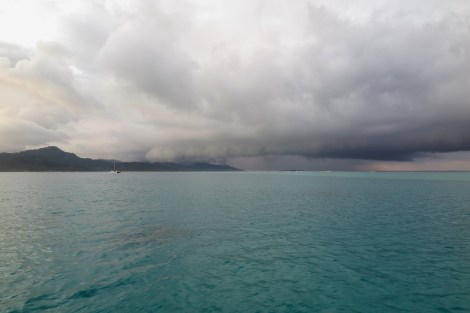 Taaha beim Durchzug von Schauern