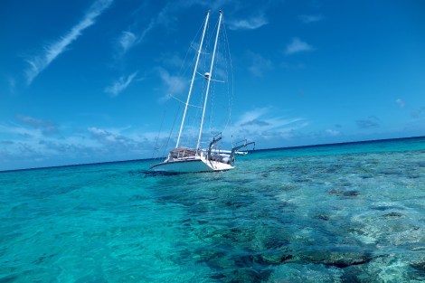 Schlimm, so etwas zu sehen