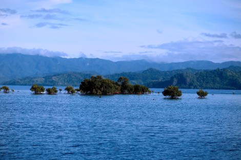 Blick von unserem Ankerplatz in Savusavu