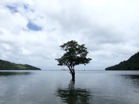 bei der Insel Beqa in der Lagune von Mbenga