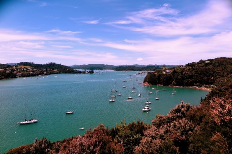 Bay of Islands bei Opua