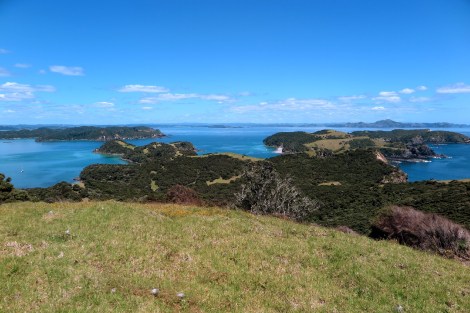 Bay of Islands 168