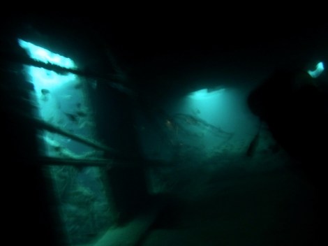 zur Mitte des Schiffes