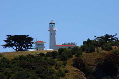 Leuchtturm von Tiritiri Matangi