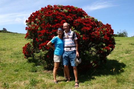 Monique und Pieter vor Christmas tree