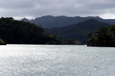 Great Barrier Island