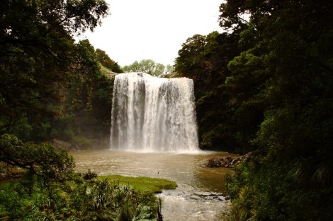 Der Whangerei Wasserfall 