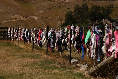 Freie Kunst unterwegs