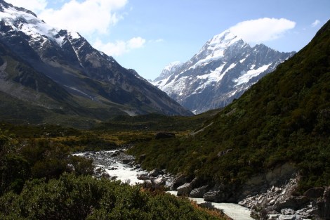 Langsam kommt er näher