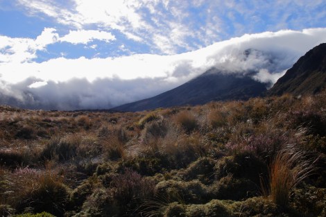 Tongariro Alpine Crossing