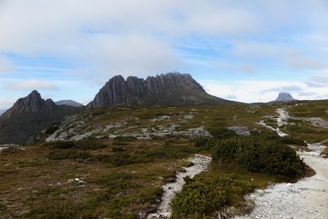Die Cradle Mountains vom Overlandtrack aus
