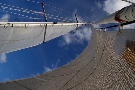 ... am neuen flexiblem Vorstag