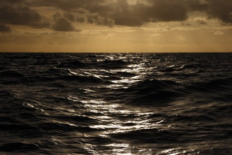 Überfahrt NZ NC 118