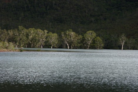 Neukaledonien_2_ 054