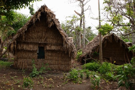 Vanuatu1_ 096