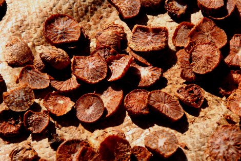 Betelnüsse in getrockneter Form