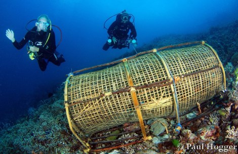 Lisa und ich vor einer geflochtenen Fischräuse
